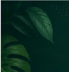 Green plant leaves decoration for AI plant identifier
